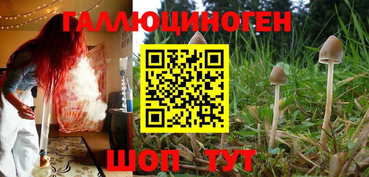 продажа наркотиков  Вход с VPN  Александров  Галлюциногенные грибы мицелий 